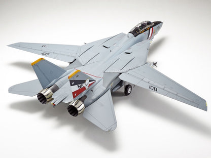 Grumman F-14D Tomcat